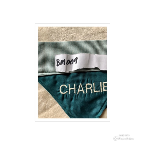 HANDMADE DOG BANDANA PERSONALIZED EMBROIDERED CHARLIE REVERSIBLE SLIP ON COLLAR - Picture 8 of 10